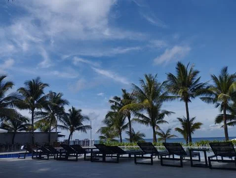 Beachside Pool with Palm Trees Stock Photos