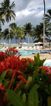 Beachside pool for summer Stock Photos