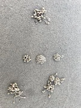 Beachside sand background Stock Photos