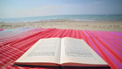 Beachside Serenity: Ocean Waves, Book, and Beach Mat Video stock 250473860