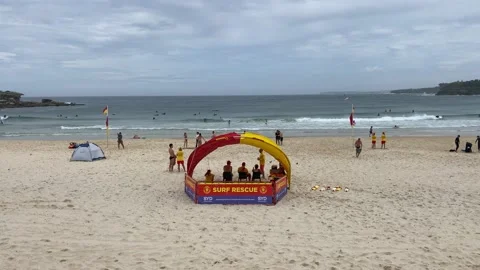 Beachside surf rescue guard camp Stock Footage 219666156
