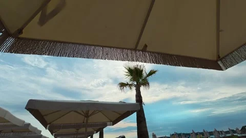 Beachside umbrellas frame a palm tree against blue sky. Trani Ammouda, Greece Vídeo Stock 339616259