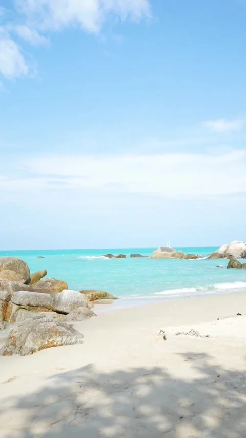 Beachside Vibes With The Sound of Calm Waves Stock Footage 244761886