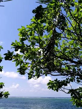 Beachside view during the day under the hot sun Foto stock