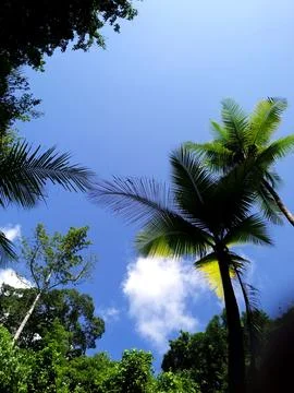 Beachside view during the day under the hot sun Foto stock
