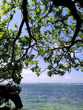 Beachside view during the day under the hot sun Foto stock