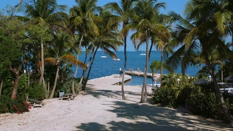 Beachside view of paradise 4k Stock-Footage 119443075