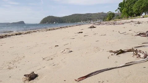 Beachwalk, Sydney Stock Footage 93355504
