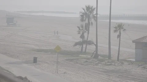 Beack Bike Path Stock Footage 100285776