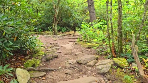 Beacon Heights Trail Video Horizontal Stock Footage 318958687