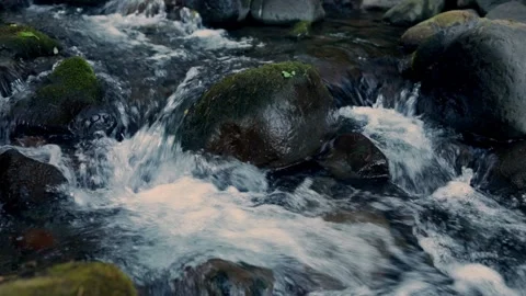 Beacon Rock State Park Video stock 236942484