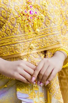 With Bead and sequin embroidery. Stock Photos