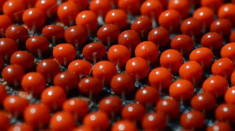 Bead by CU Stock-Footage 33794181