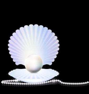 Beads and shell Stock Illustration