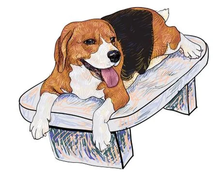 Beagle on chair Stock Illustration