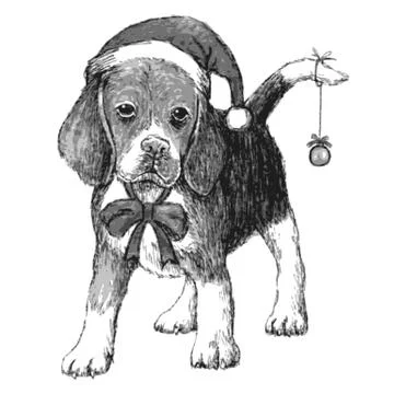Beagle with christmas hat イラスト素材