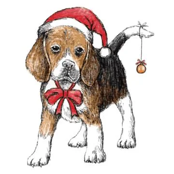 Beagle with christmas hat 스톡 일러스트