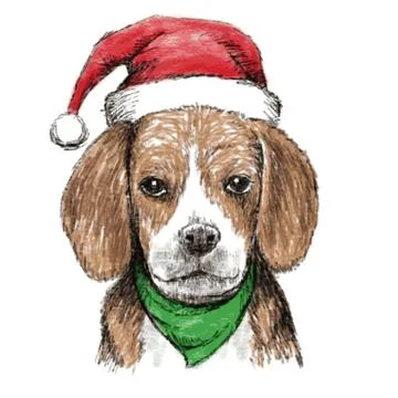 Beagle with christmas hat 스톡 일러스트