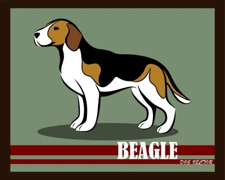 Beagle color dog vector eps 10 Stock Illustration