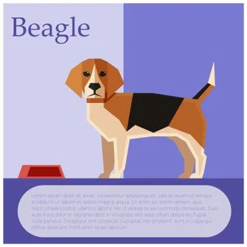 Beagle colourful postcard Stock Illustration