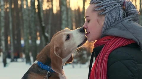 Beagle dog eats from the mouth of its owner on the street in winter. Slow side Stock-Footage 167512542
