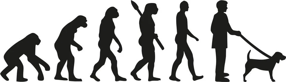 Beagle  dog evolution Stock Illustration