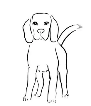 Beagle dog Stock Illustration