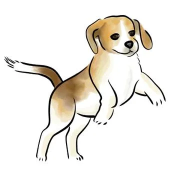 Beagle dog Illustrazione stock