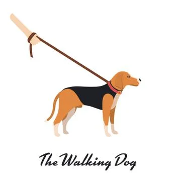 Beagle Dog with a leash Stock Illustration