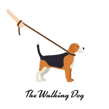 Beagle Dog with a leash Stock Illustration