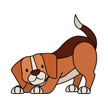 Beagle dog pet on white background Illustrazione stock
