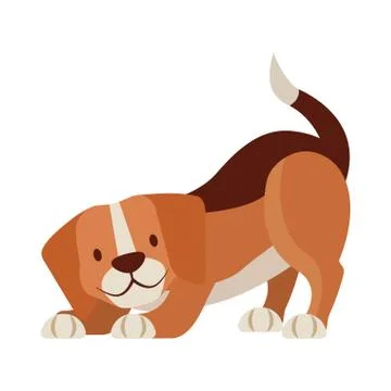 Beagle dog pet on white background Illustrazione stock