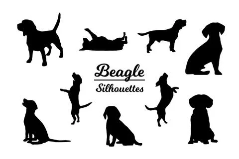 Beagle dog silhouettes 스톡 일러스트
