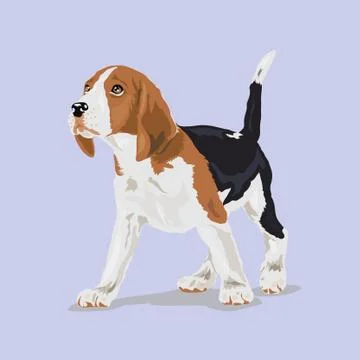 Beagle dog at the violet background Stock Illustration