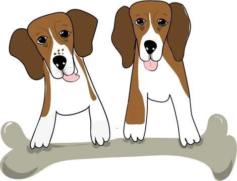 Beagle dogs standing on a big bone - vector illustration Stock Illustration