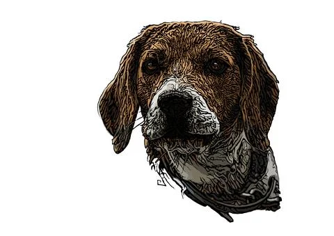 Beagle Head Illustration Stock Illustration