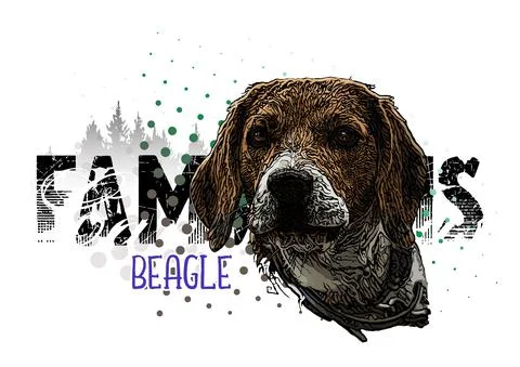 Beagle Head Vector Illustration Stock Illustration