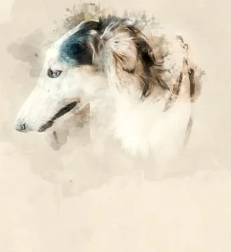 Beagle Hound Dog close up Illustrazione stock