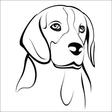 Beagle Stock Illustration