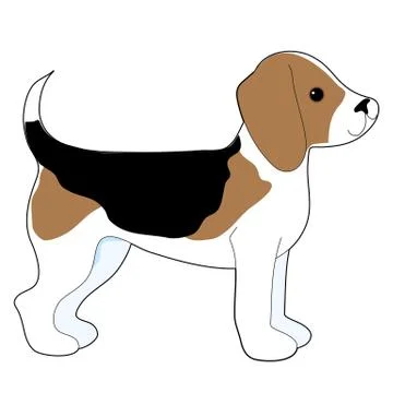 Beagle Stock Illustration