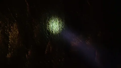 Beam from a flashlight in a dark park in 4k Stock Footage 101684911