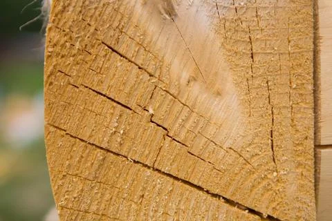 The beam is folded into a warm corner. Stock Photos