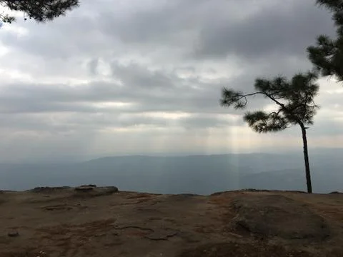Beam or ray of light through cloud to forest on mountain view Stock Photos