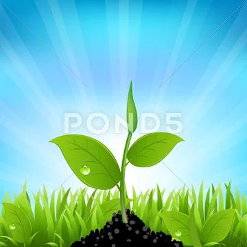 Beams and grass Stock Illustration