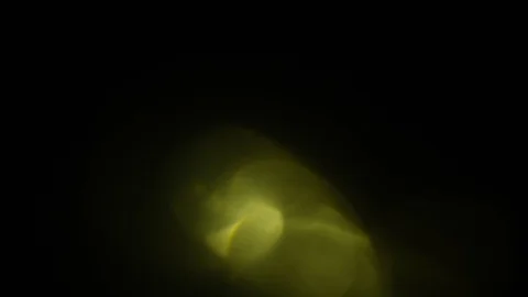 Beams, bokeh, light, glare on a dark background Stock Footage 129165962