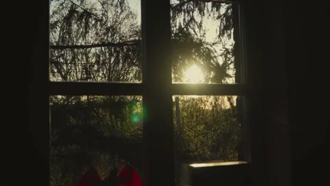 Beams of sun enter house through window and pine tree branches in countryside at Vidéo 195445944