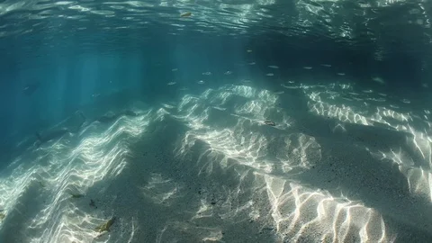 Beams of Sunlight and Sandy, Shallow Seafloor Video stock 86485634