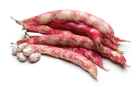 BEAN 0001 Stock Photos