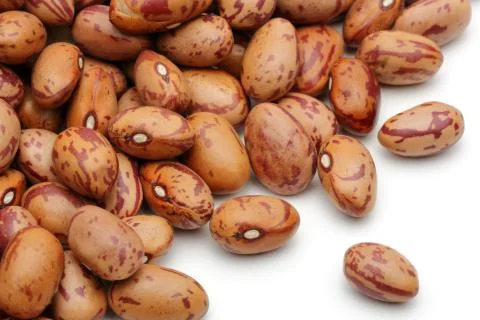 BEAN 0006 Stock Photos