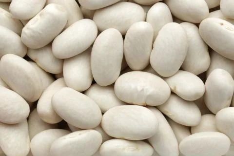 BEAN 0008 Stock Photos